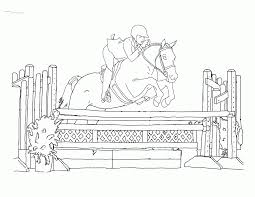 If possible, the horse is warmed up by walking and trotting for at least half an hour before entering the. Printable Coloring Pages Horse Show Coloring Home