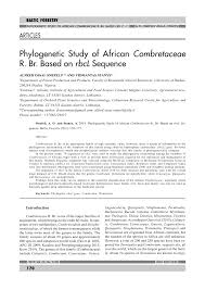 Image result for Combretum oxystachyum