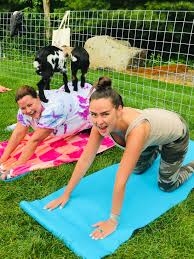 Maybe you would like to learn more about one of these? Baby Goat Yoga Oh Ma Goats Farm