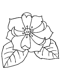 Flowers, magnolia coloring pages, nature magnolia coloring pages flowers nature magnolia flower 9 printable 2021 262 coloring4free. Magnolia Coloring Pages Best Coloring Pages For Kids In 2021 Jungle Flowers Flower Coloring Pages Coloring Pages