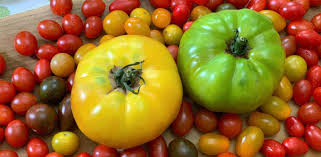 Simple spicy tomato sauce from scratch for multiple dinners. 18 Simple Recipes To Use Up Lots Of Tomatoes Growjourney