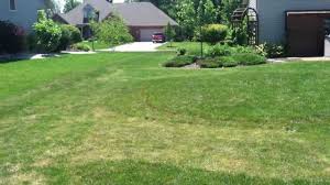 Many of the best backyard golf courses are the property of th. How To Make A Backyard Miniature Golf Course Putt Putt At Home Backyard