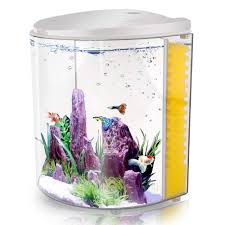 You should now have a much clearer idea about which. Freesea 1 4 Gallon Betta Aquarium Fish Tank Starter Kits With Led Light And Filter Pump