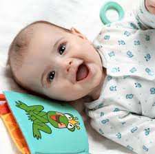 Technical Assistance Competencies for Maine's Early Childhood Workforce.