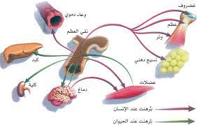 مزيد من المعلومات زروا مواقعنا السياحه الطبيه في الهند www.sukon.in زراعه الخلايا الجذعيه www.thsstemed.com. March 2013 K R Keeb ÙØ±Ø§ÙÙØ¨ Ø¨Ù Ø¬ÙØ¬Ù Page 3