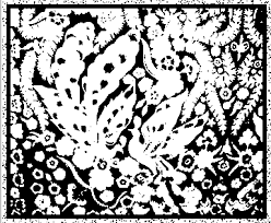 Motif batik ini berasal dari daerah cirebon dan menjadi ikon daerah tersebut. Http Iopscience Iop Org Article 10 1088 1742 6596 1022 1 012012 Pdf