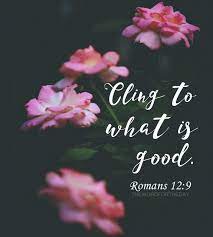Flowers Romans 12 9 Christian Quotes Scripture Bible Verse Inspiring Quotes Motivation The Word For Christian Quotes Scriptures What Is Evil Scripture Quotes