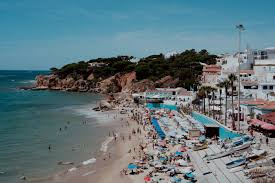 Image result for Faroa affinis