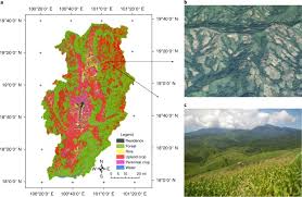 Every word in its right place. Highland Cropland Expansion And Forest Loss In Southeast Asia In The Twenty First Century Nature Geoscience