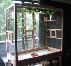 Diy large bird cage diy bird cage large bird cages bird aviary. Wow The Ivy Is Really Cool Looking In The Back Of The Cage Pet Bird Cage Diy Bird Cage Bird Aviary