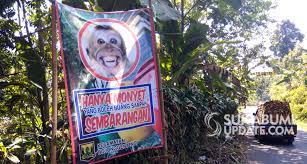 Gambar orang membuang sampah pada tempatnya kartun, gambar buanglah sampah pada tempatnya jadi gambar tersebut tidak hanya sekedar menghibur tetapi juga memberikan motivasi dan inspirasi kehidupan kamu. Nggak Mau Dibilang Monyet Jangan Sembarangan Buang Sampah Di Pasir Angin