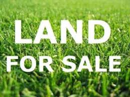 We did not find results for: 1 4 Acre Lot Twin Palms Lr Gibson Real Estate Jamaica