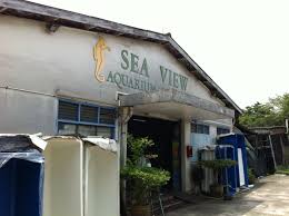 Sea View Aquarium S Pte Ltd Seaview 2 Seletar West Farmway 2 Singapore 798098 Tel 6484 1365 7 Hours Mon Fri 11am 7pm S Outdoor Decor Seletar Views