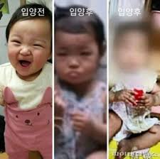 '헤이나래' 측은 프로그램 폐지를 결정했다. ì •ì¸ì´ ì‚¬ê±´ ì–'ë¶€ ë°©ì†¡ì‚¬ì„œ í•´ê³  ë‹¹í•´ ë‰´ìŠ¤ì¤Œ
