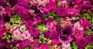 Unfortunately, we don't ship to canada at the moment. Import Flowers And Plants Into Canada Pcb