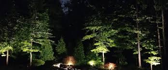 Spend More Time Outdoors This Spring Light Up The Night With Custom Low Voltage Landscape Lighting In Richmond Charlottesvill