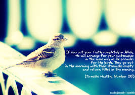 Birds Chirping In The Morning Islam Prophet Pbuh Said If You Put Your Faith Completely In Allah He Will Arrange For Your Sustenance In The Same Way As He Provides For Allah Sustenance Hadith
