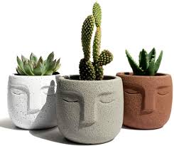 I love how it sort of mimics wood grain. Amazon Com Gepege Indoor Succulent Plants Pot 3 Inch Set Of 3 Concrete Head Planter For Home Office Desk Decoration Modern Indoor Outdoor Cement Statue Face Vase Garden Outdoor