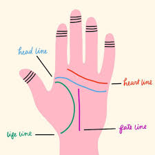 Check spelling or type a new query. A Beginner S Guide To Palm Reading Brit Co