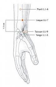 5 Acupressure Points For Immune Support Balance Acupuncture Charleston Sc