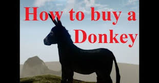 Archeage How To Get A Donkey From Mirage Isle A Donkey How To Get Donkey