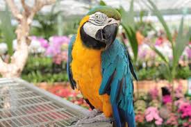 We have everything to make your garden beautiful! Greenhouse Garden Center Photos Facebook