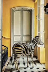 Simplementfrancaises Maison Deyrolle Paris Zebra Fine Art Photographs Black And White Photographs