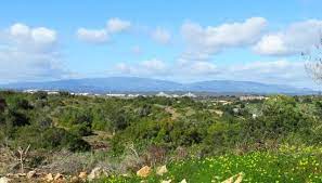 Monchique's main church, the 16th century igreja matriz, is somewhat better preserved. Ein Ausflug In Die Serra De Monchique Algarve Blog
