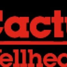 Available without software downloading and device owner consent. Cactus Wellhead Cactuswellhead Twitter
