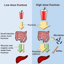 High Dose Fructose Is A Major Driver Of Insulin Resistance But Fruit Is Okay