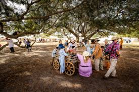 Image result for Alafia orientalis