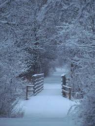 Dans Mon Jardin Secret Il Y A Paysage Hiver Paysage De Neige Paysage Hivernal