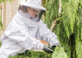 Pet stores & supplies silver spring, md hazardous waste control & management silver spring, md pet adoption silver spring flower valley veterinary clinic. Ehrlich Pest Control Updated Covid 19 Hours Services 17 Photos Pest Control 5410 Port Royal Road Springfield Va Phone Number Yelp