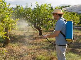 Something resembling a pest in destructiveness especially : What Is Agricultural Development With Pictures