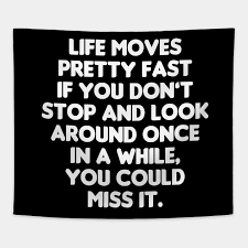 It's been a long time since i've written down a blog post, and here goes a long winded explanation as to what has happened to your dearest alexandra. Ferris Bueller Quotes Ferris Bueller S Day Off Quote Tumblr Dogtrainingobedienceschool Com