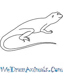 How To Draw A Collared Lizard How to draw a lizard really easy drawing tutorial. how to draw a collared lizard