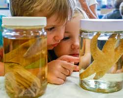 Fall Home 2022: On a mission to reduce 'mountains of plastic' in Glenville  (4 photos)