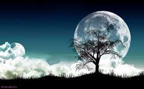 How High Quality Wallpapers For Pc Can Increase Your Profit High Quality Wallpapers For Pc Https Www Paint Full Hd Wallpaper Wallpaper Pc Hd Wallpapers 3d