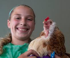 Belmar sandcastles to Ocean County Fair: See this week's best photos by  staff photographers