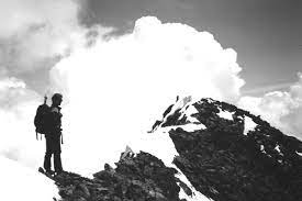 Aostatal Hashtag On Twitter