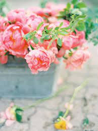 Click This Image To Shop Coral Charm Peonies 1 Now Available In Rosie S Print Shop Flower Meanings Coral Charm Peony Flowers