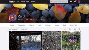 Flickr fast downloader is a windows application to download photos and videos on flickr. Download Photos Or Albums In Flickr Featured