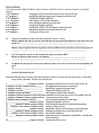 A—brown eyes, cannot roll tongue (het), female b—hazel eyes, can roll. Meiosis Worksheet 13 Key Docx Meiosis Mitosis