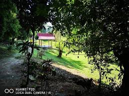 Download lagu tanah serendah sekebun bunga dapat kamu download secara gratis di downloadlagu321.site. Pernahkah Anda Dengar Taman Serendah Destinasi Kelantan Facebook