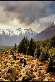 New Zealand Mountains Hobbit 2152713 Hd Wallpaper Backgrounds Download , full hd p new zealand wallpapers hd desktop backgrounds 1024×682. new zealand mountains hobbit 2152713