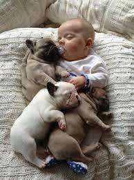 They deserve the highest quality styling, expert handling, and compassionate care from people committed to making your pet feel and look terrific. Pin On Mobile Pet Spa Grooming Service