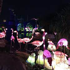 Pin On Garden Glow