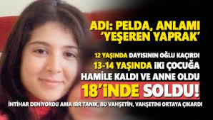 Di̇yarbakir'da bir kadın kucağında bebeği olduğu sırada evinde uğradığı silahlı saldırı sonucu. Diyarbakir Pelda Cinayeti Haberleri Son Dakika Diyarbakir Pelda Cinayeti Haberleri