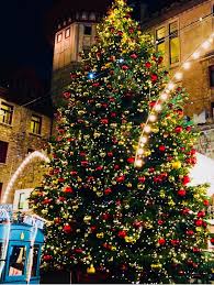 St Moritz Badrutt S Palace Switzerland Susan Meldrum Beautiful Christmas Trees Beautiful Christmas Holiday Decor