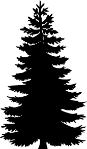 Tree Silhouettes By Chrisdesign Silhouette Of A Conifer Silhouette Clip Art Tree Stencil Free Clip Art